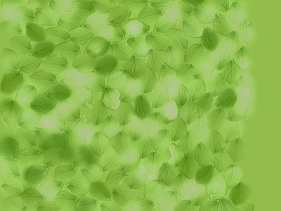 绿植墙