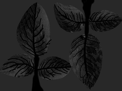 绿植墙