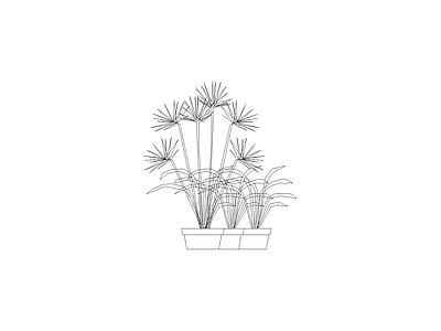 水生植物 植物图块