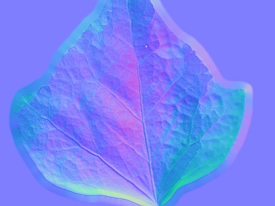 其他法线
