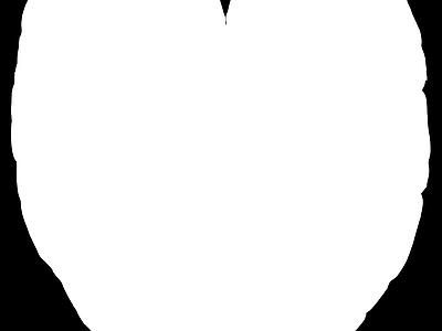 高光