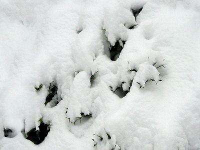 地面-雪地