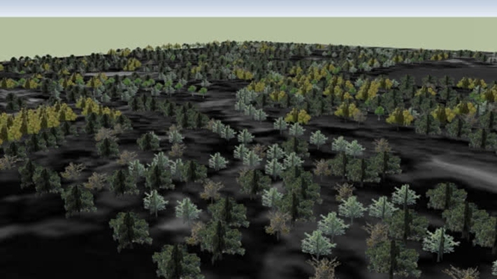 成图规划 草图大师模型