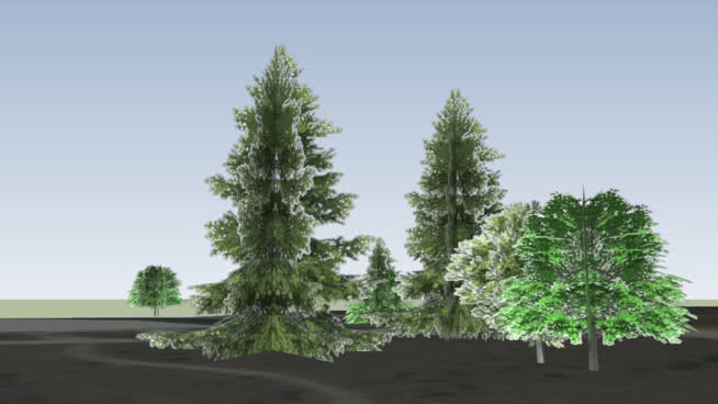 浙师大图文周边3D树木 3D TREES OF THE ZHEJIANG NORMAL UNIVERSITY 植物 湖 迷雾 天空 户外