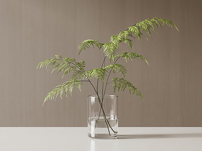 造型绿植草本植物