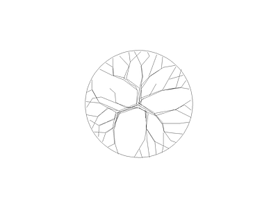植物图例 樟树