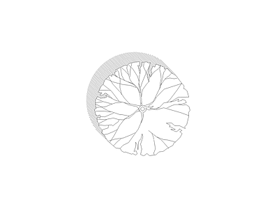 园林绿化施工图纸 平面树
