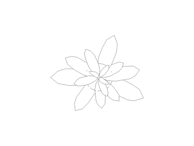 备用植物图例 鸡蛋花