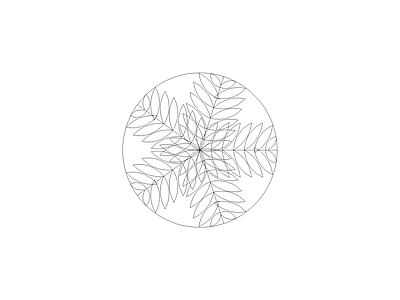园林植物绿植园林植物模块 国王椰子