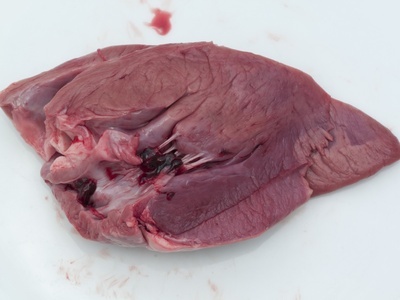 肉 食物