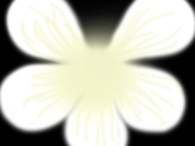 花朵纹理