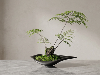 艺术绿植盆栽