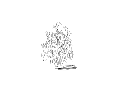 乔木种植 备用植物图例