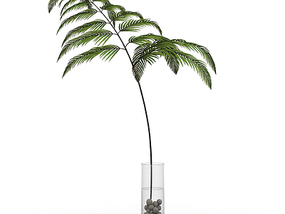 带盆绿植装饰