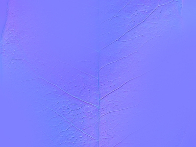 其他法线