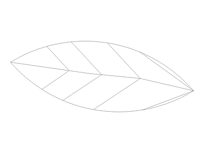 树 树叶
