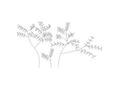 绿植 园林常见植物品种图例及说明