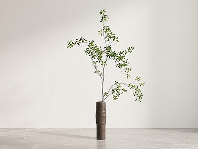 造型绿植灌木