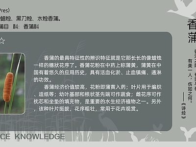 其他挂画