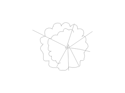 常用植物图例 绣球花