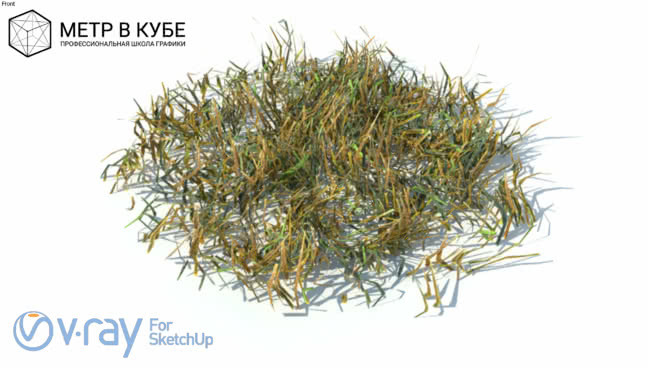 Grass, hight poly + maps, vray ready (014) 其他 植物 画 草地 饰品