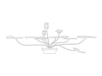 水生植物 植物图块