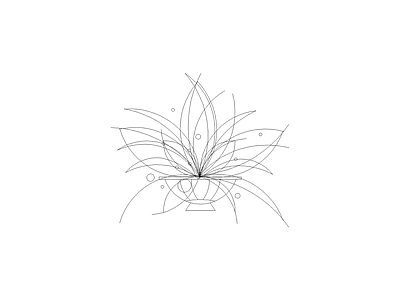绿植 植物立面