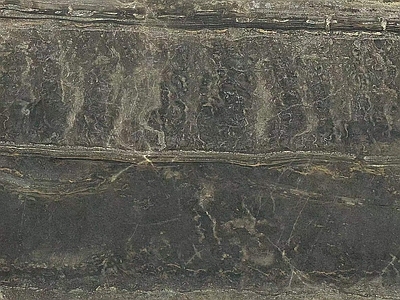 自然地面
