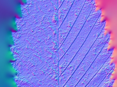其他法线