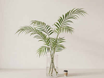 造型感绿植盆栽