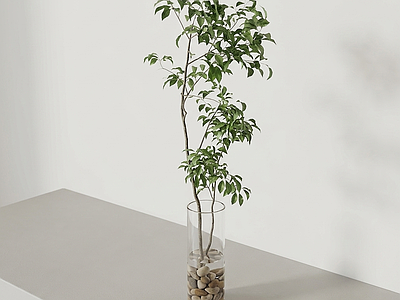 玻璃花瓶绿植盆栽