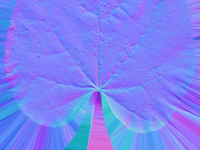 其他法线