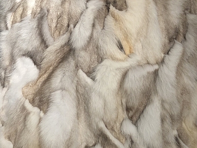 动物皮毛