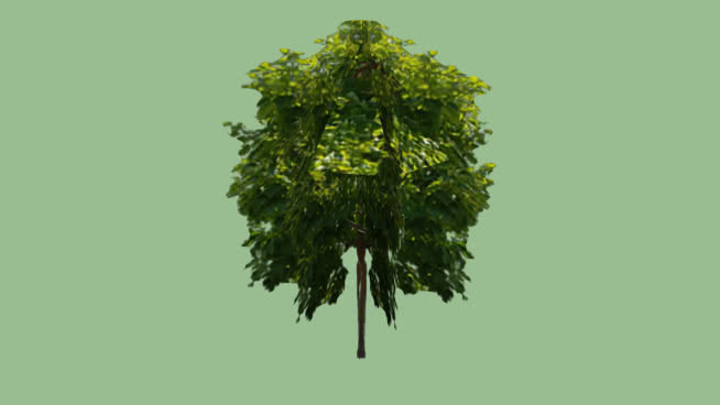 小树02 植物 其他 树林 迷雾 画