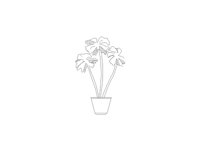 绿植 植物立面
