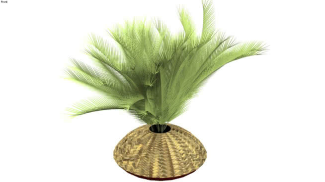 锅中掌心 菠萝 植物 其他 花瓶 蔬菜