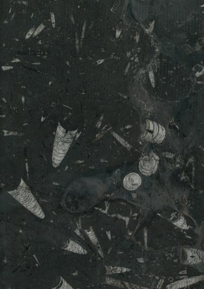 深色大理石 灰色大理石 过石 槛石 地砖 黑色大理石