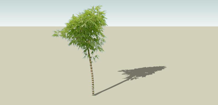 现代风格竹子