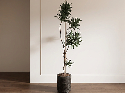 造型绿植盆栽