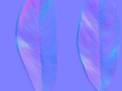 其他法线