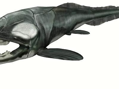 Dunkleosteus 2 （邓氏症） 2