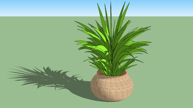 植物 植物 其他 菠萝 花瓶