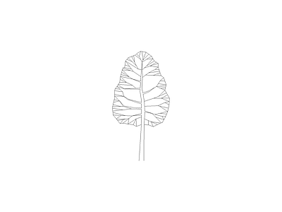乔木种植 常用植物图例
