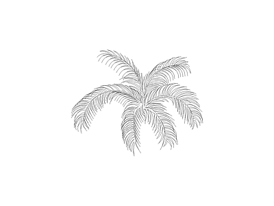 乔木种植 常用植物图例