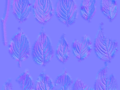 其他法线