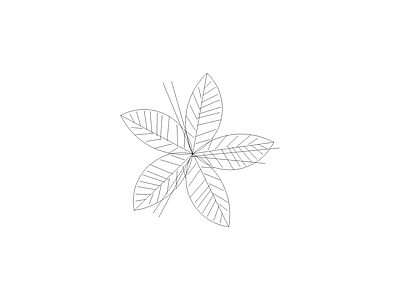 花 常用植物图例