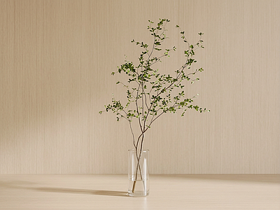 艺术绿植灌木