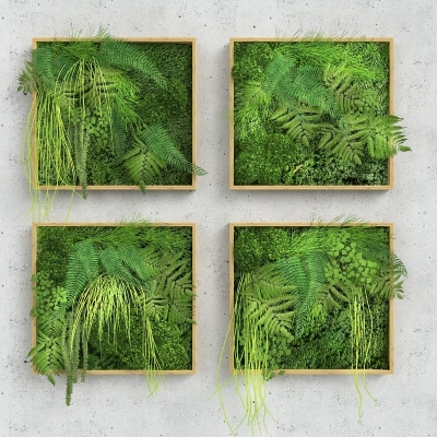 现代绿色植物墙