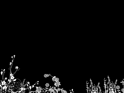 绿植墙