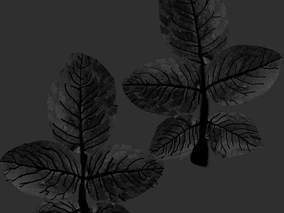 绿植墙